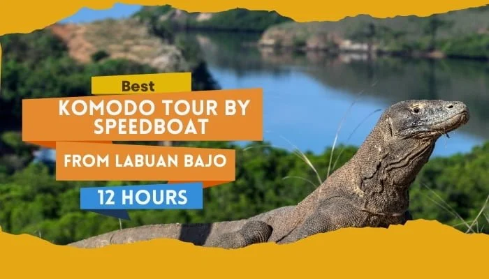 Best Komodo Tour By Speedboat From Labuan Bajo - 12 Hours