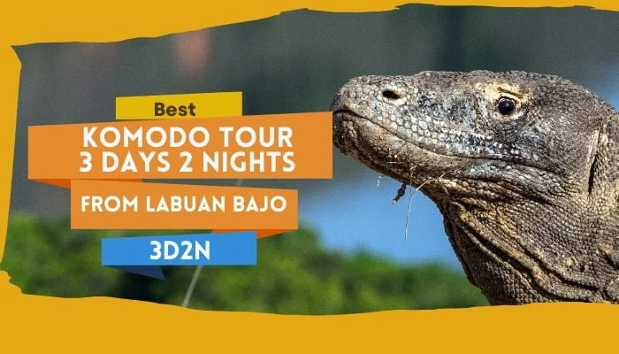 Best Komodo Tour 3 Days 2 Nights Labuan Bajo