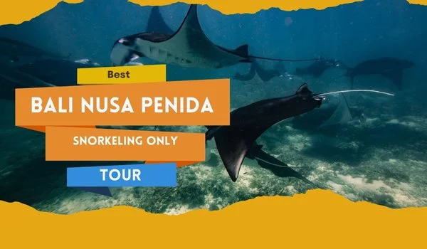Best Bali Nusa Penida Snorkeling Tour