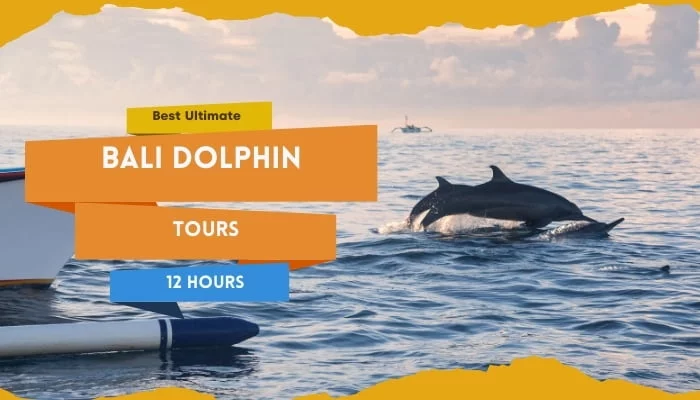 Best Bali Dolphin Tour Ultimate 12 Hours