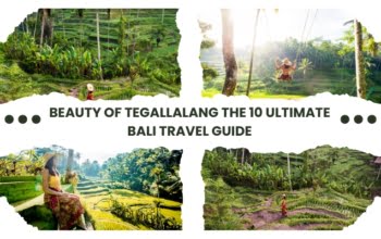 Beauty Of Tegallalang The 10 Ultimate Bali Travel Guide