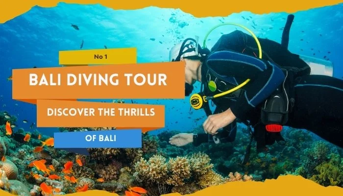 No 1 Bali Diving Tour_ Discover The Thrills Of Bali
